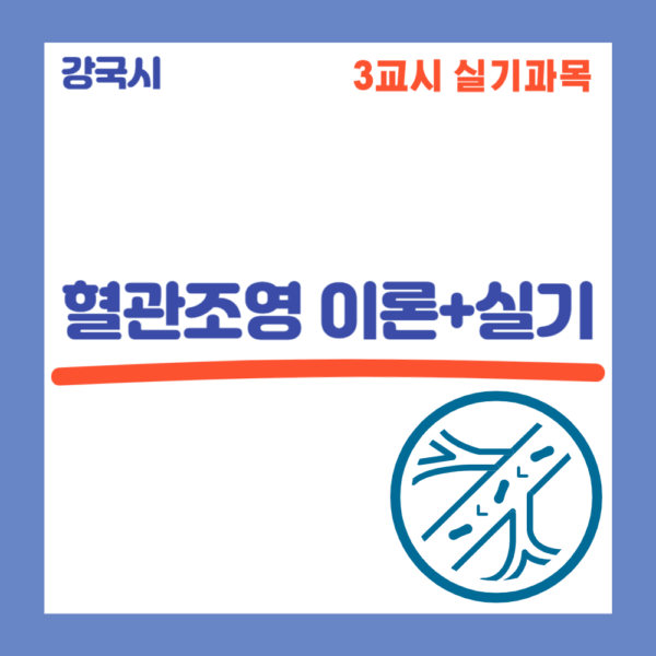 혈관조영 실기 30일